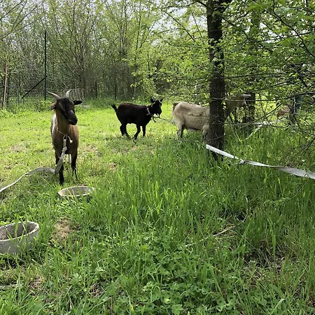 住宿加早餐酒店 La Bastilac Nature