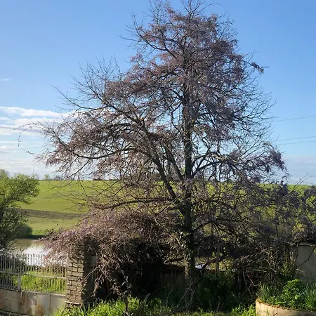 Bed & Breakfast La Bastilac Nature *