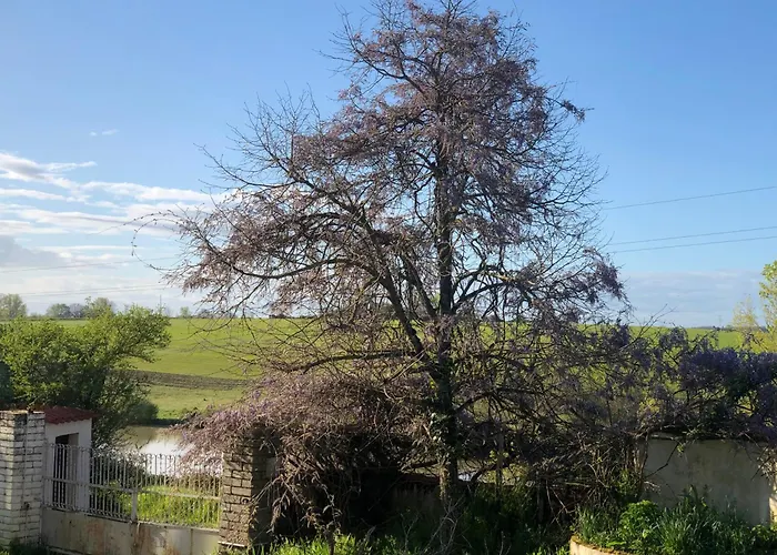 Bed & Breakfast La Bastilac Nature *